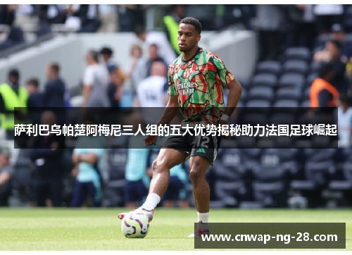 萨利巴乌帕楚阿梅尼三人组的五大优势揭秘助力法国足球崛起 萨利巴乌帕楚阿梅尼三人组的五大优势揭秘助力法国足球崛起