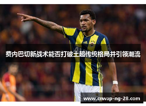 费内巴切新战术能否打破土超传统格局并引领潮流 费内巴切新战术能否打破土超传统格局并引领潮流