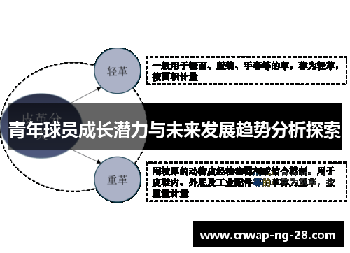 青年球员成长潜力与未来发展趋势分析探索 青年球员成长潜力与未来发展趋势分析探索
