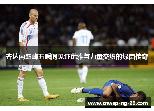 齐达内巅峰五瞬间见证优雅与力量交织的绿茵传奇