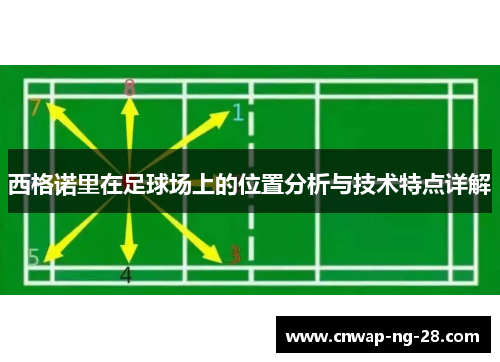 西格诺里在足球场上的位置分析与技术特点详解 西格诺里在足球场上的位置分析与技术特点详解