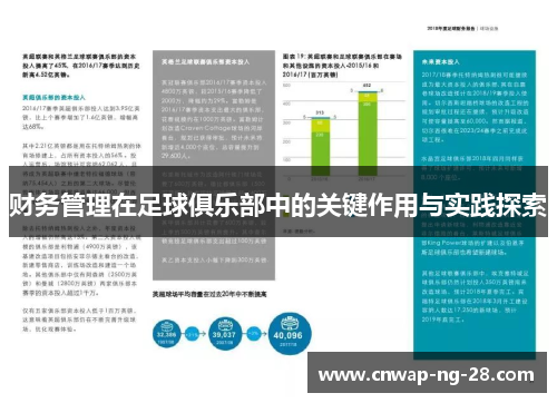 财务管理在足球俱乐部中的关键作用与实践探索 财务管理在足球俱乐部中的关键作用与实践探索