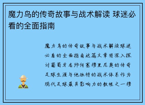 魔力鸟的传奇故事与战术解读 球迷必看的全面指南