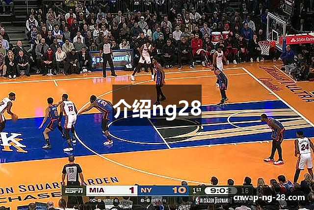 介绍ng28